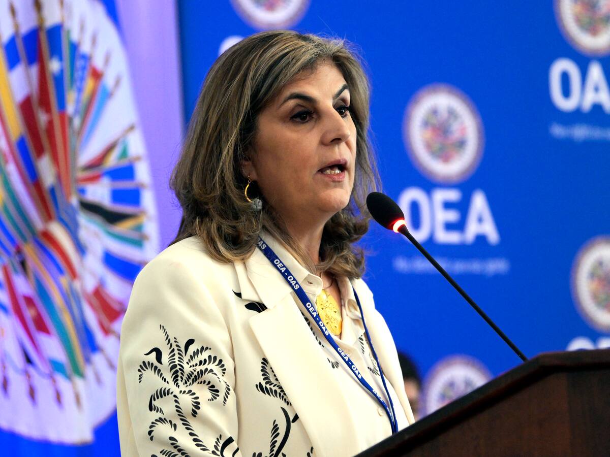 Laura Gil: Democracia en Colombia se construye antes y después de las elecciones; OEA estará presente