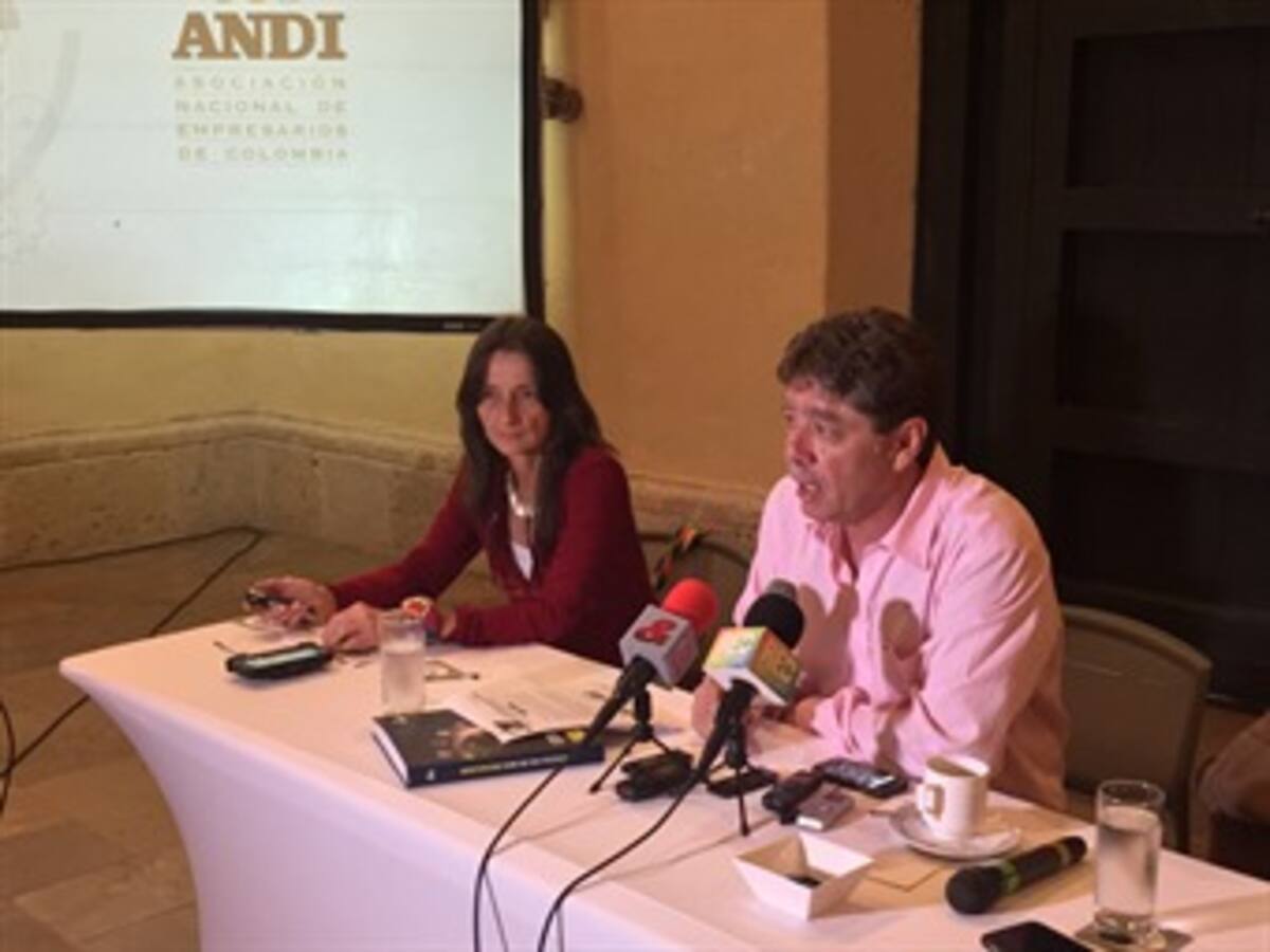 “La industria no está en crisis, pero pasa por un mal momento”: ANDI