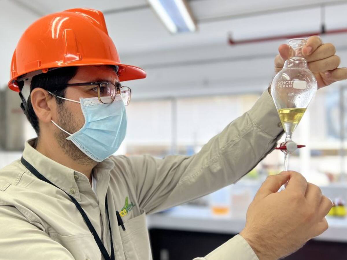 Desarrollan línea cosmética con base de aceites hechos en Santander