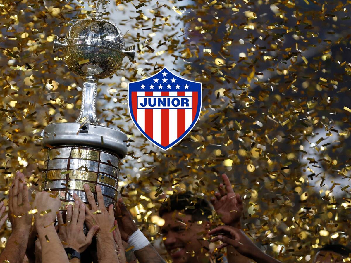 ¿Cuándo es el sorteo por los octavos de final de la Libertadores? Equipos clasificados