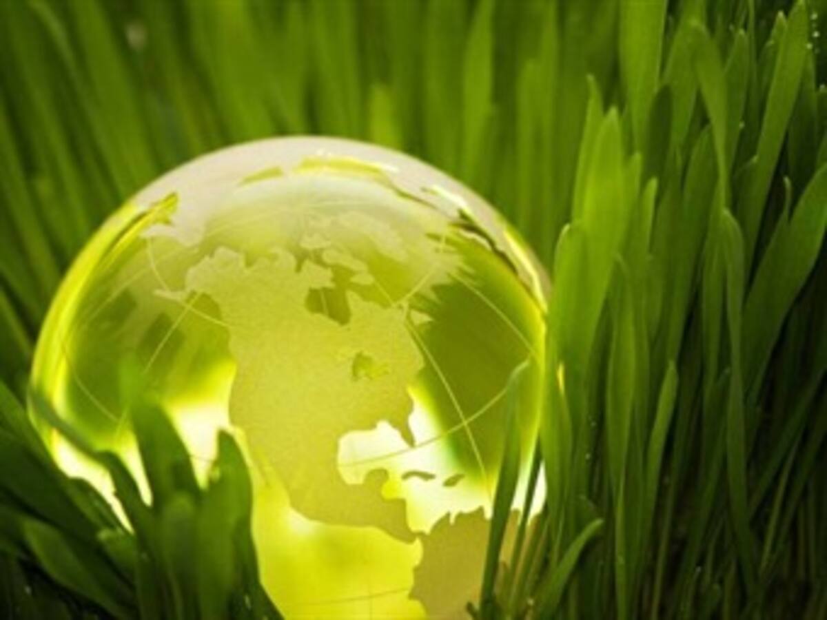 Miles de personas protestan contra el cambio climático en Copenhague