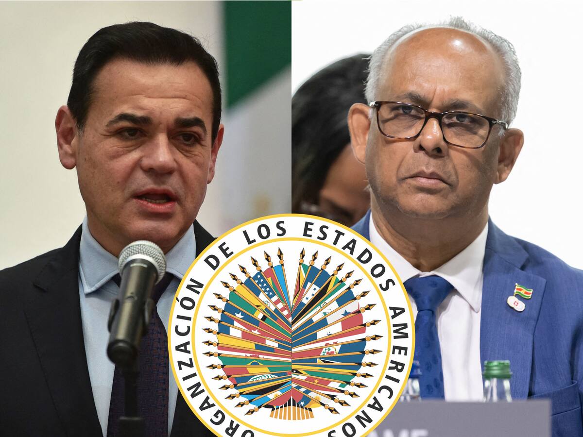 OEA elige nuevo jefe, ¿quiénes son candidatos y cuándo es la votación?