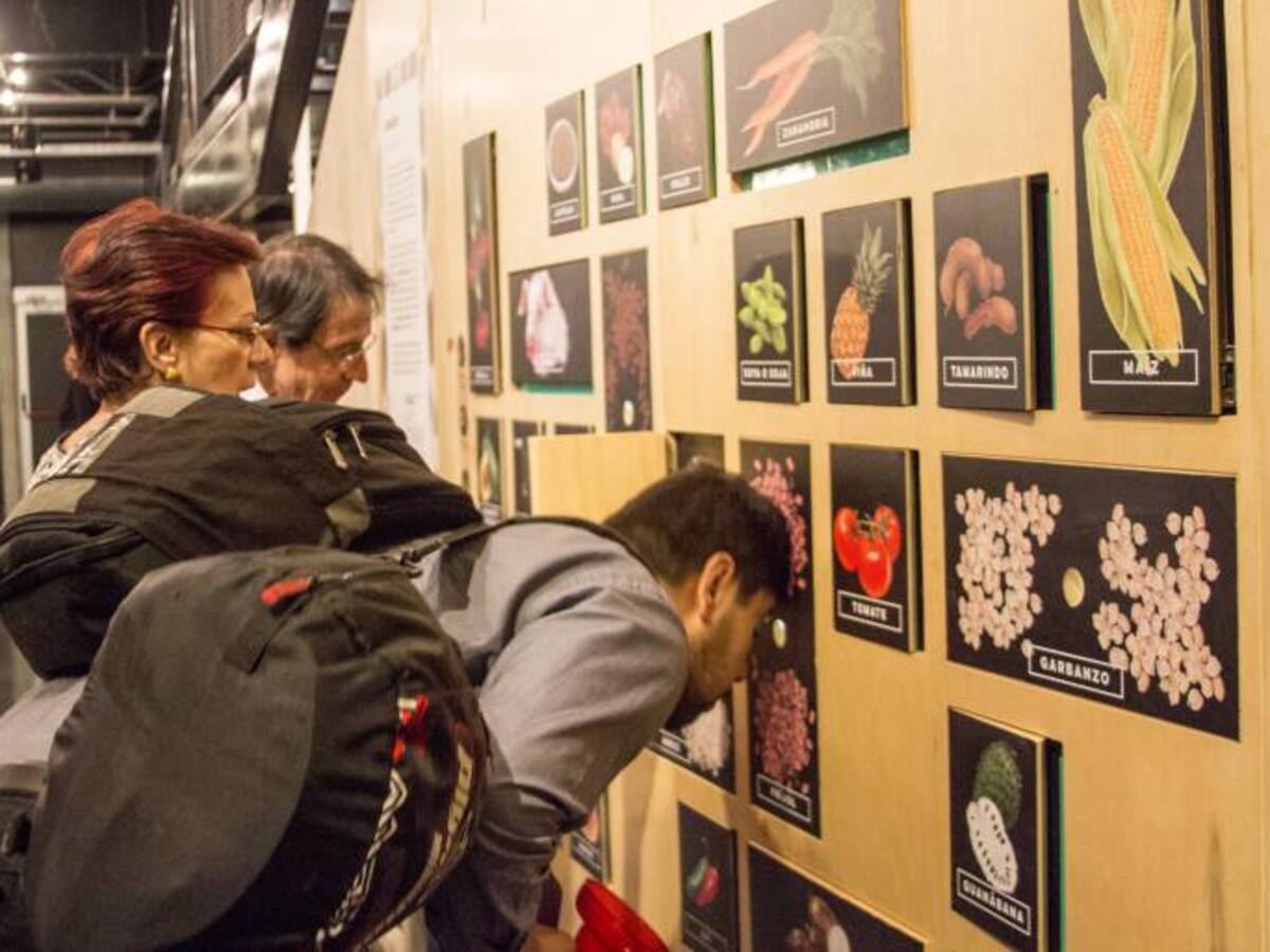 Más de 30.000 personas han disfrutado de la exposición Comer en Parque Explora