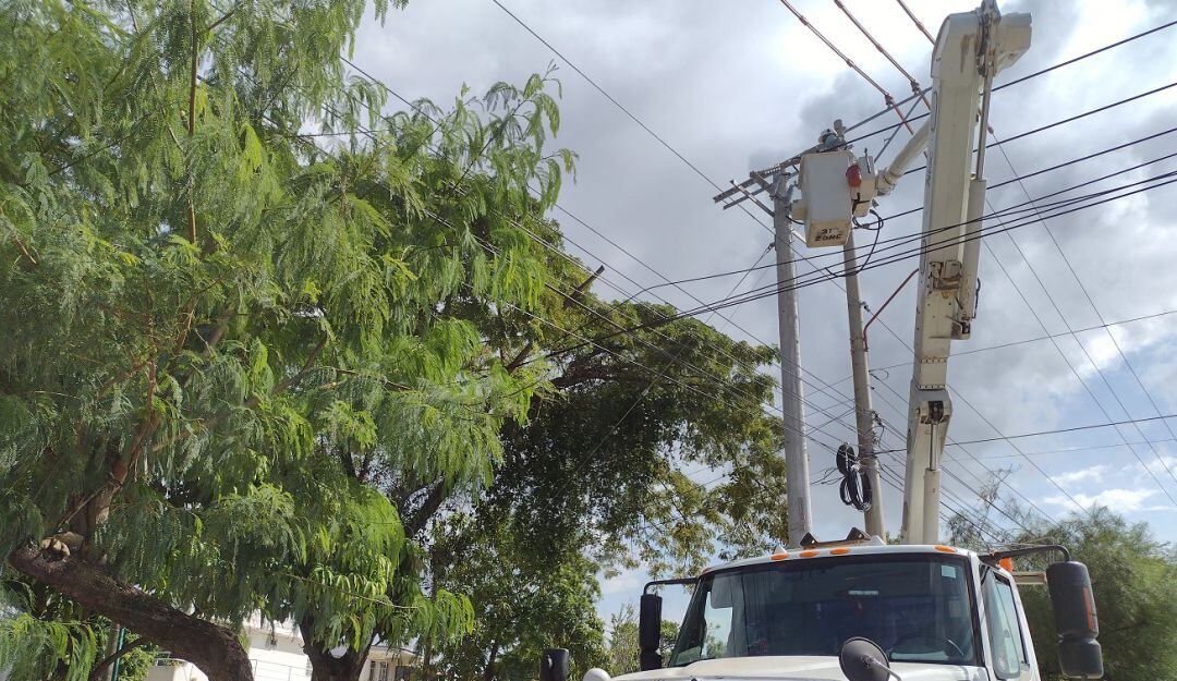 El equipo técnico de la compañía continuará con los trabajos de mejora y adecuaciones en la red que suministra energía a varias poblaciones