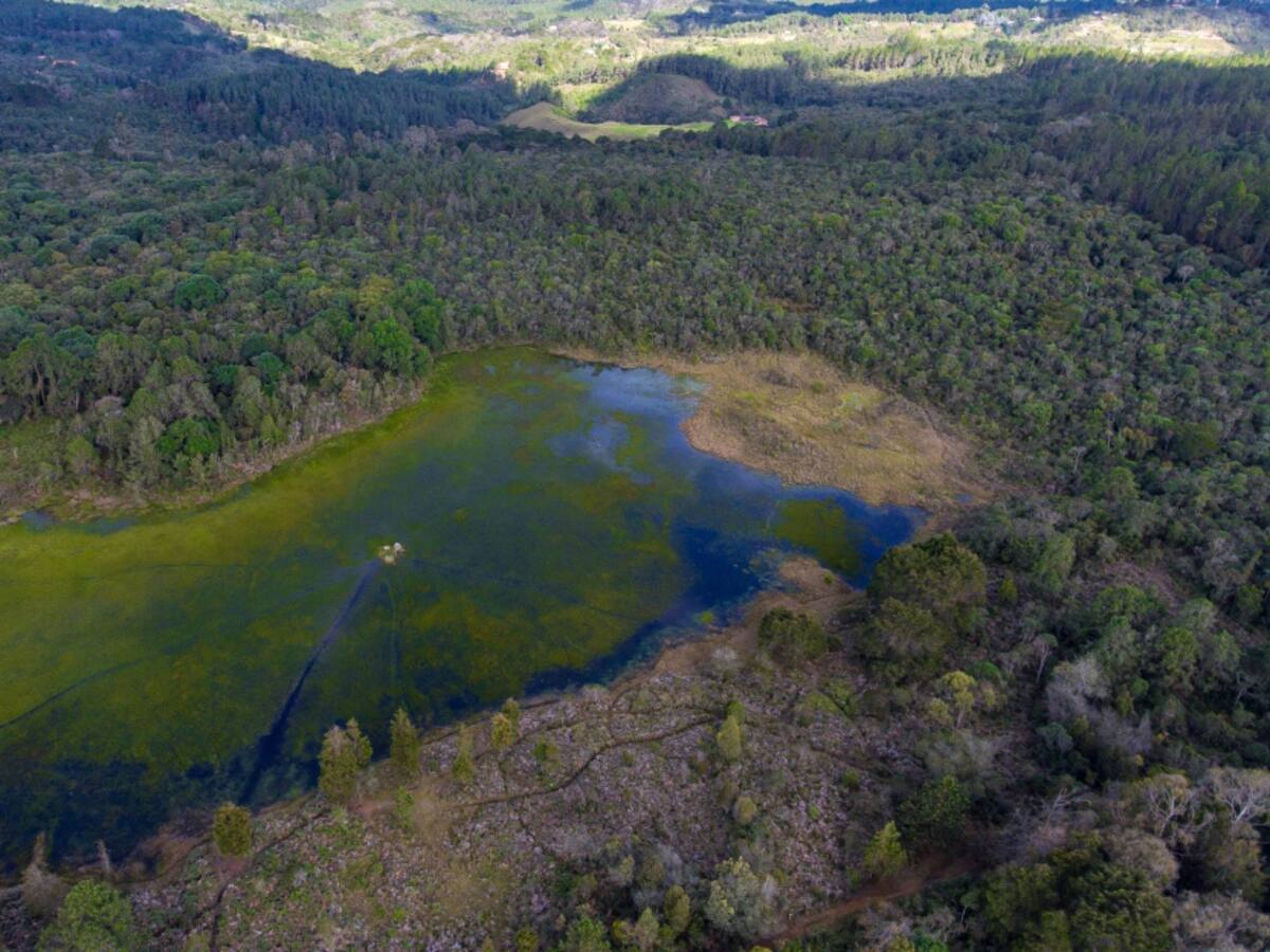 ¿Cuál es la situación de los Parques Naturales en Colombia?