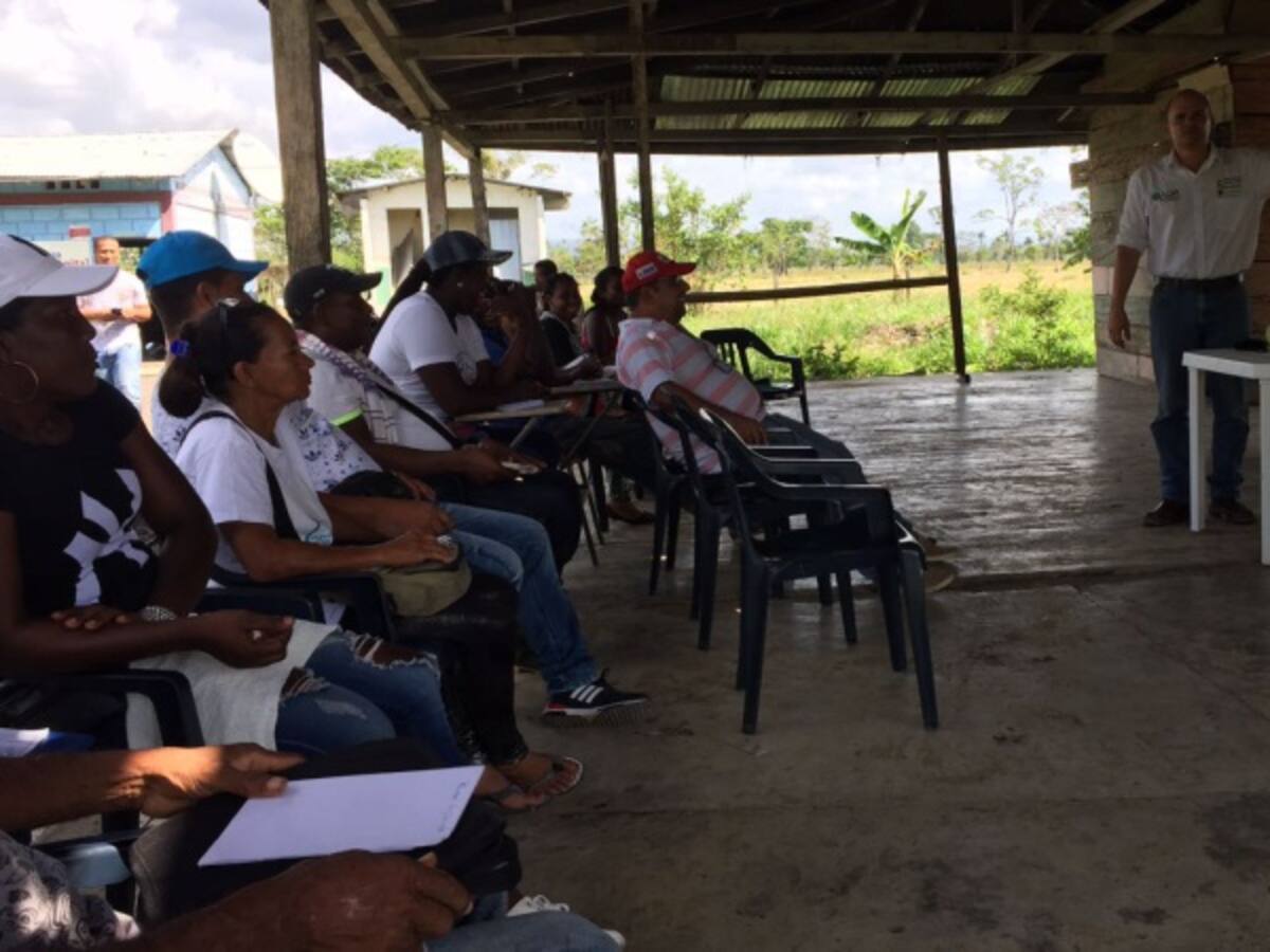 Cerca de 4.000 miembros de las Farc serán capacitados en economía solidaria