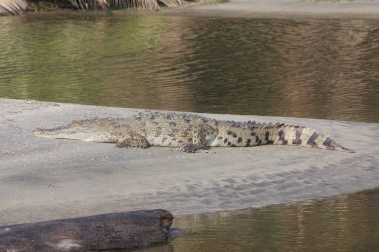 Fotografía Parque Nacional Tayrona