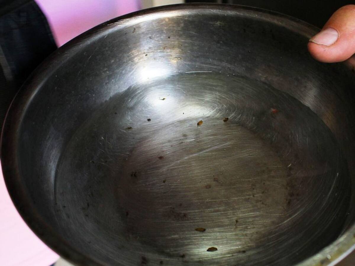 Alerta en Cartagena por variante Den 2 y 3, asociadas al Dengue