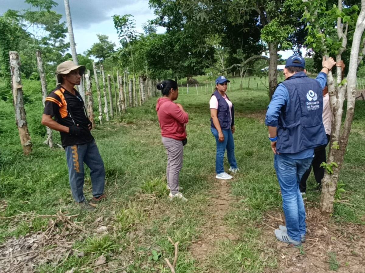 Obligan a garantizar el fluido eléctrico a una comunidad de la zona rural de Montería