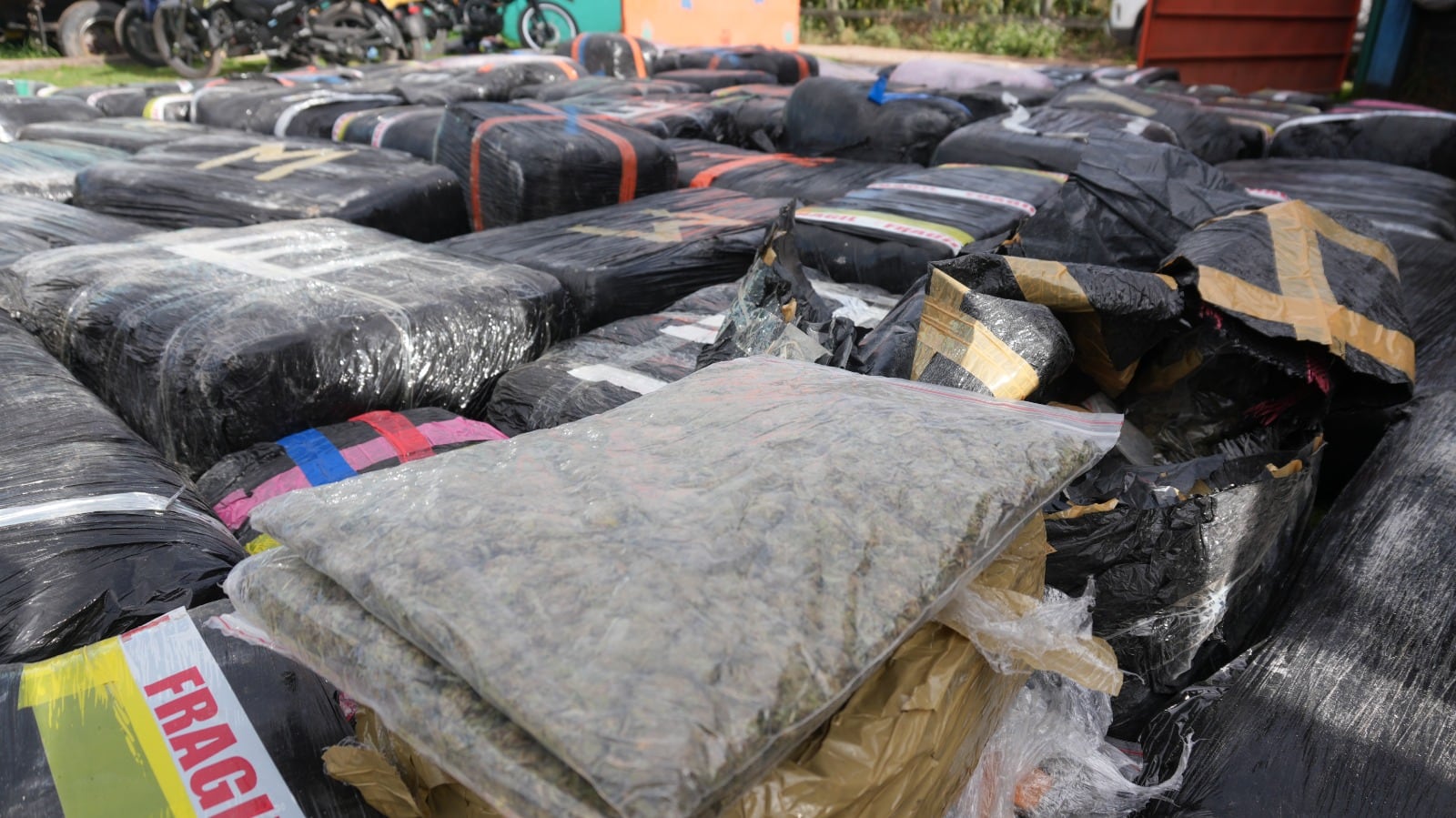 Incautaron dos toneladas de marihuana en centro de acopio bajo fachada de fundación para mascotas. Foto: suministrada.