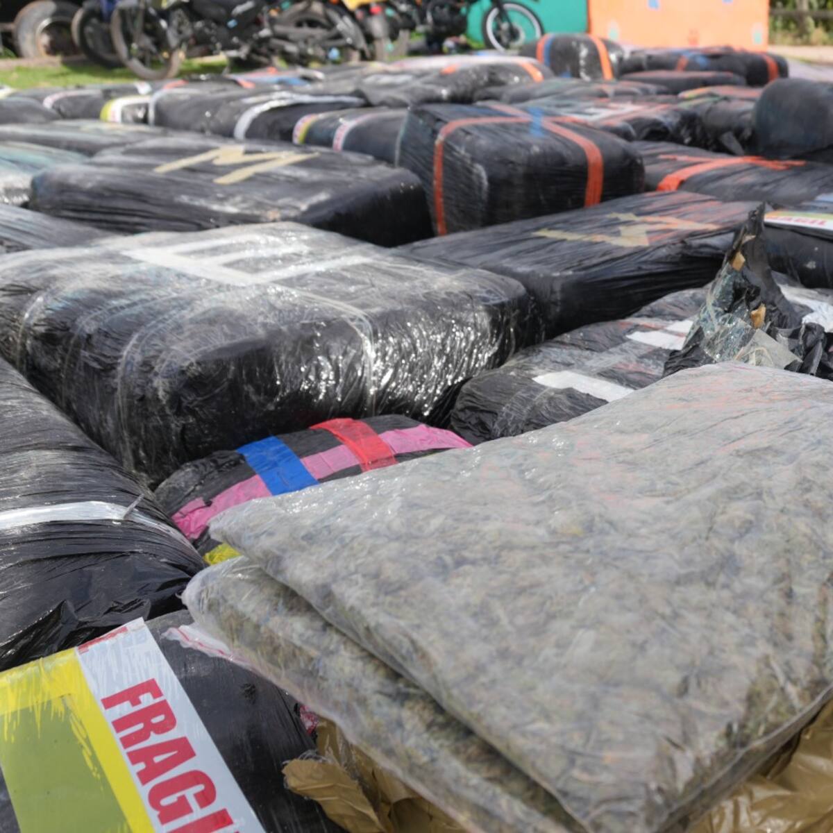 Incautaron dos toneladas de marihuana en centro de acopio bajo fachada de fundación para mascotas