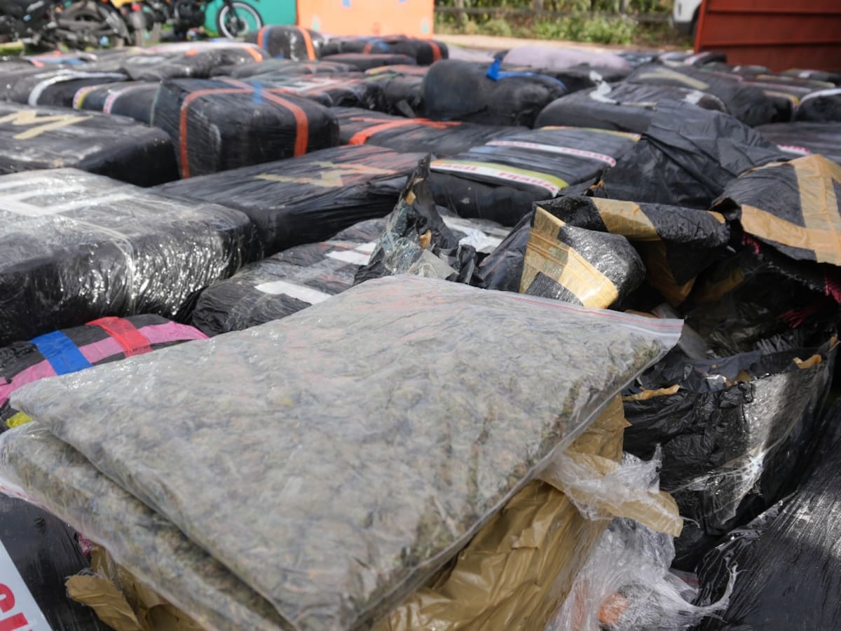 Incautaron dos toneladas de marihuana en centro de acopio bajo fachada de fundación para mascotas