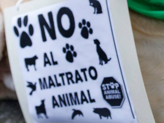 Enero 07 de 2016.- En redes sociales sectores políticos y de animalistas, destacaron la sanción de la ley que crea una legislación especial de protección a los animales y los reconoce a los como seres sintientes.(Colprensa - Mauricio Alvarado)