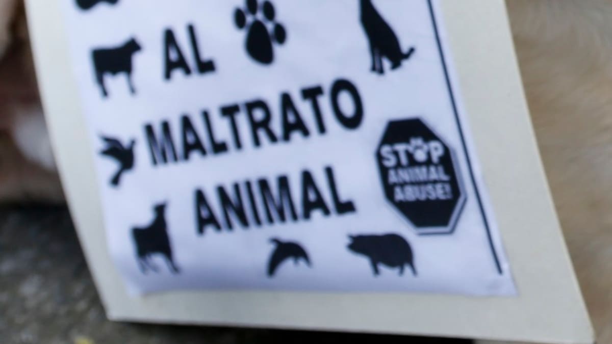 Popayán se convierte en referencia de la protección animal