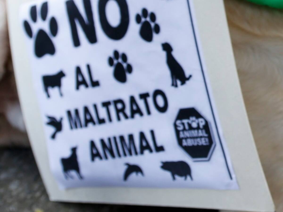 Indignación en Pereira por caso de maltrato animal: escolta habría matado a un perro de un disparo