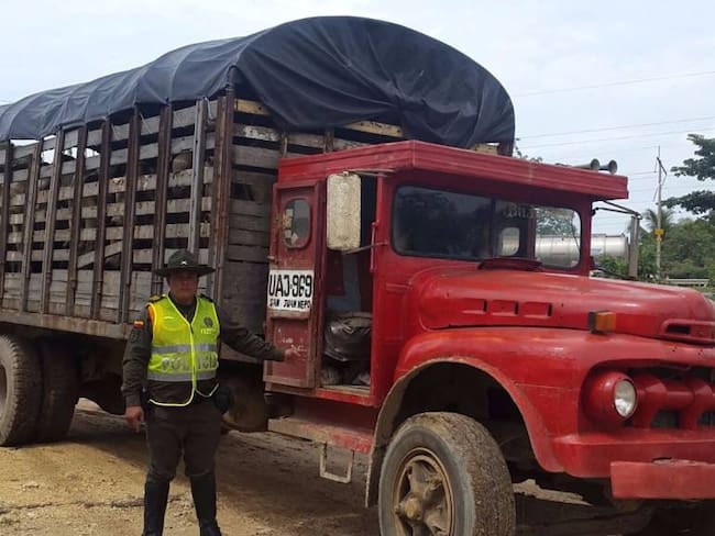 Policía incautó 18 semovientes bovinos en la vía que comunica Cartagena con Barranquilla