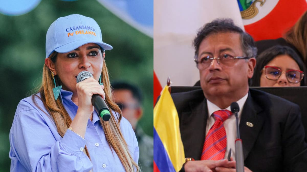 Afirmaciones de Petro son alarmistas: gobernadora de Tolima por brote de fiebre amarilla