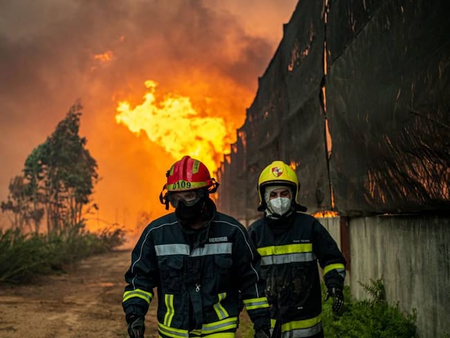 Atención de los incendios que vive Portugal en el centro del país.               Foto: Getty 