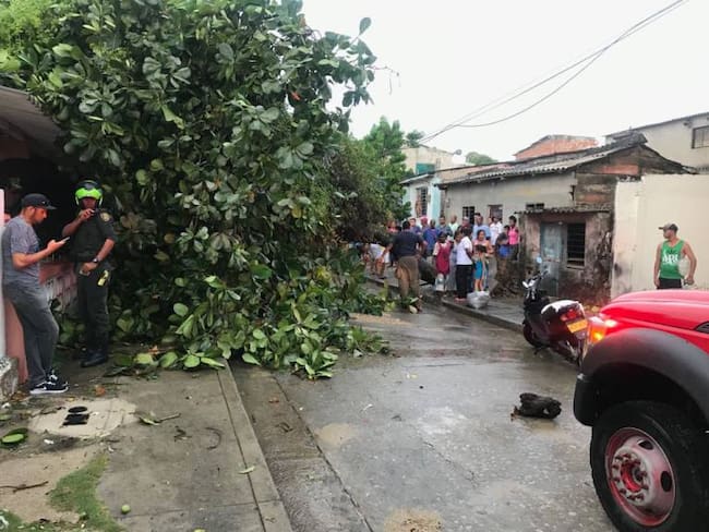 Lluvias dejaron árboles, postes caídos y viviendas destechadas en Cartagena