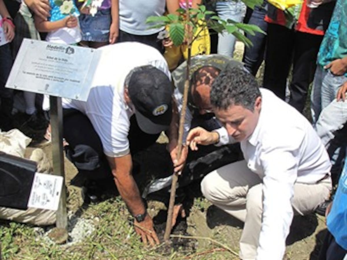 Día del árbol: Siembra de 400 árboles en el Alto de Boquerón en Antioquia
