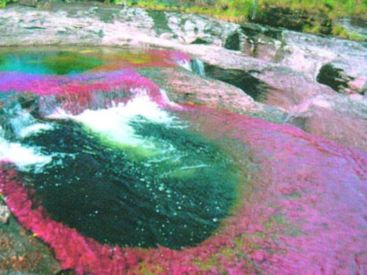 Plan de manejo de La Macarena es agrícola y pecuario de bajo impacto: Parques Naturales