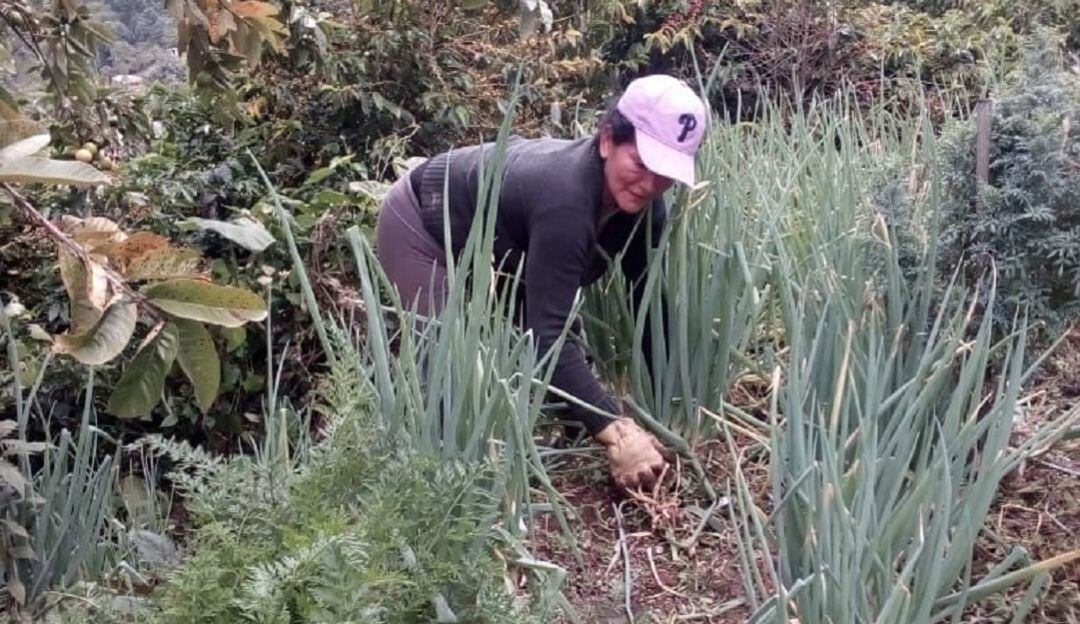 El duro trabajo en el campo