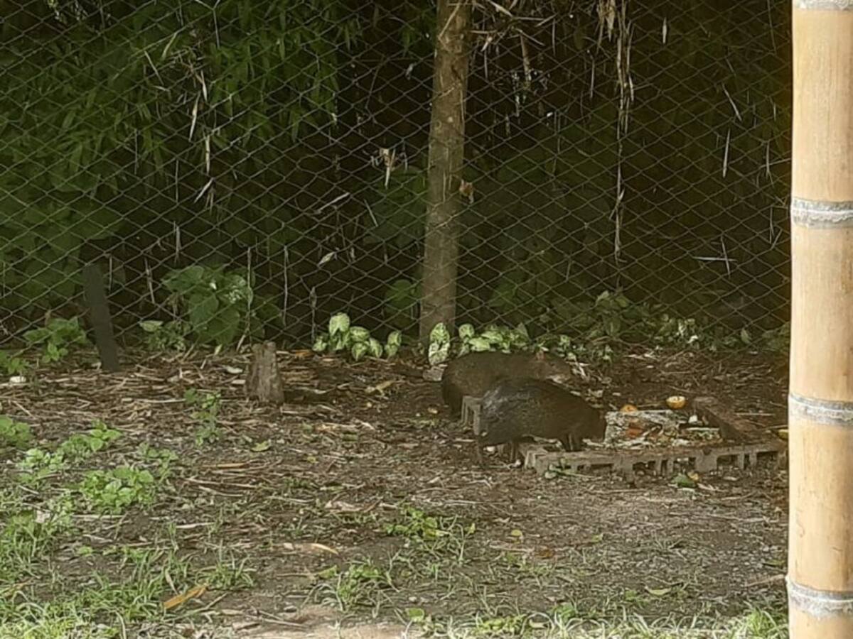 Lunes 4 de mayo, las noticias más importantes de Armenia y el Quindío