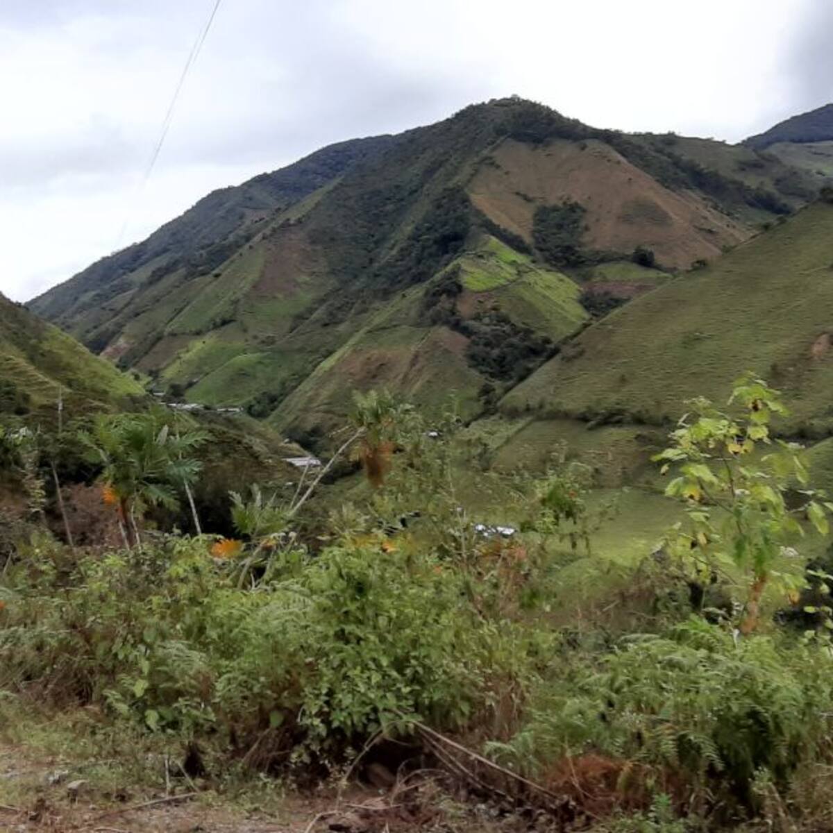 Ituango: tiendas rurales están cerrando por señalamientos de ilegales y porque no pagan