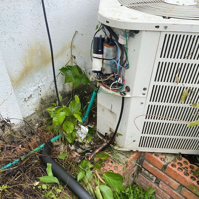 Alcaldía de Santa Catalina