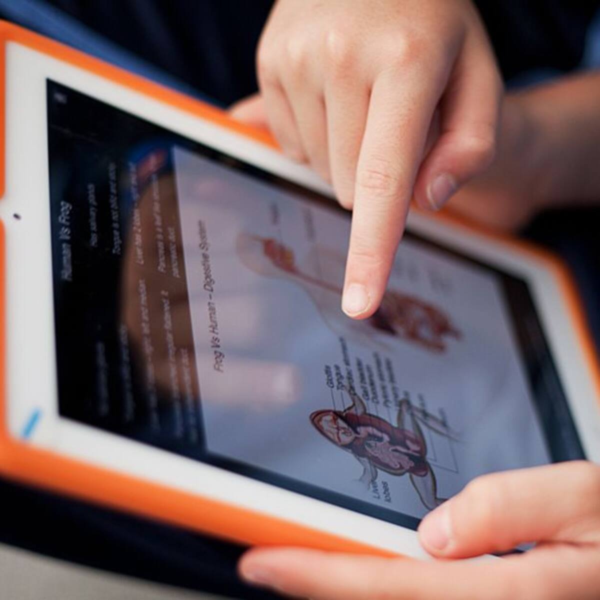 Drummond sigue premiando a estudiantes destacados de Magdalena y Cesar