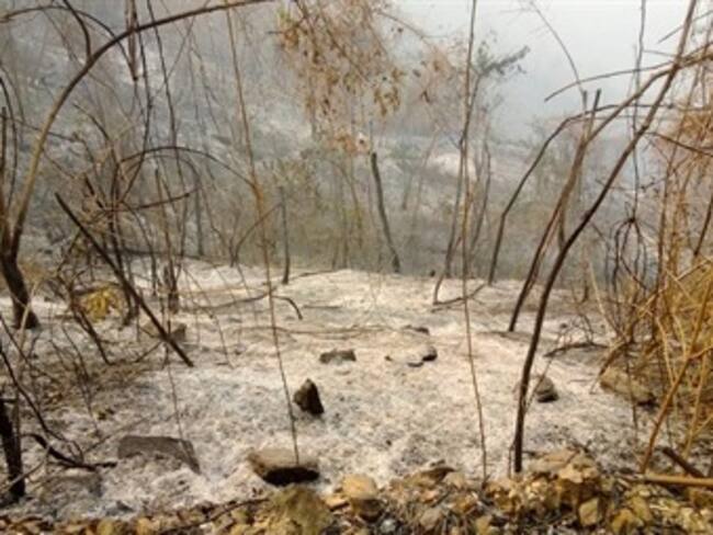 Incendio en la Sierra Nevada fue provocado por personas: Corpamag