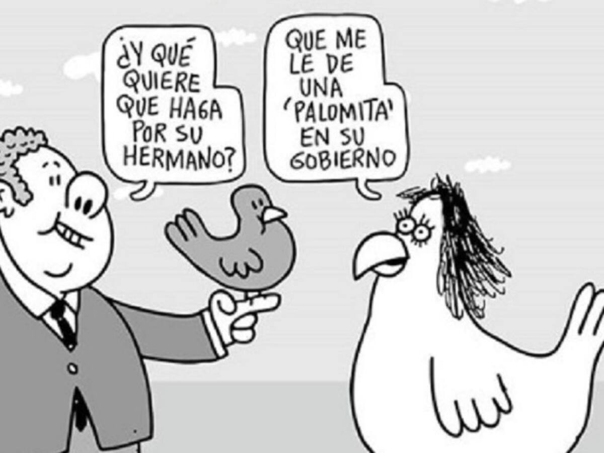 Preguntas para respuestas rápidas: Matador