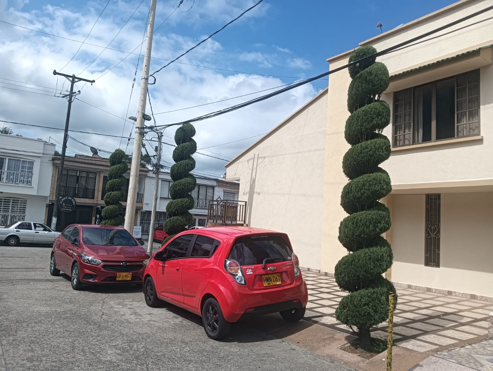 Hermoso corte y poda de árboles en la calle segunda norte con carrera 16 en Armenia. Foto: Adrián Trejos