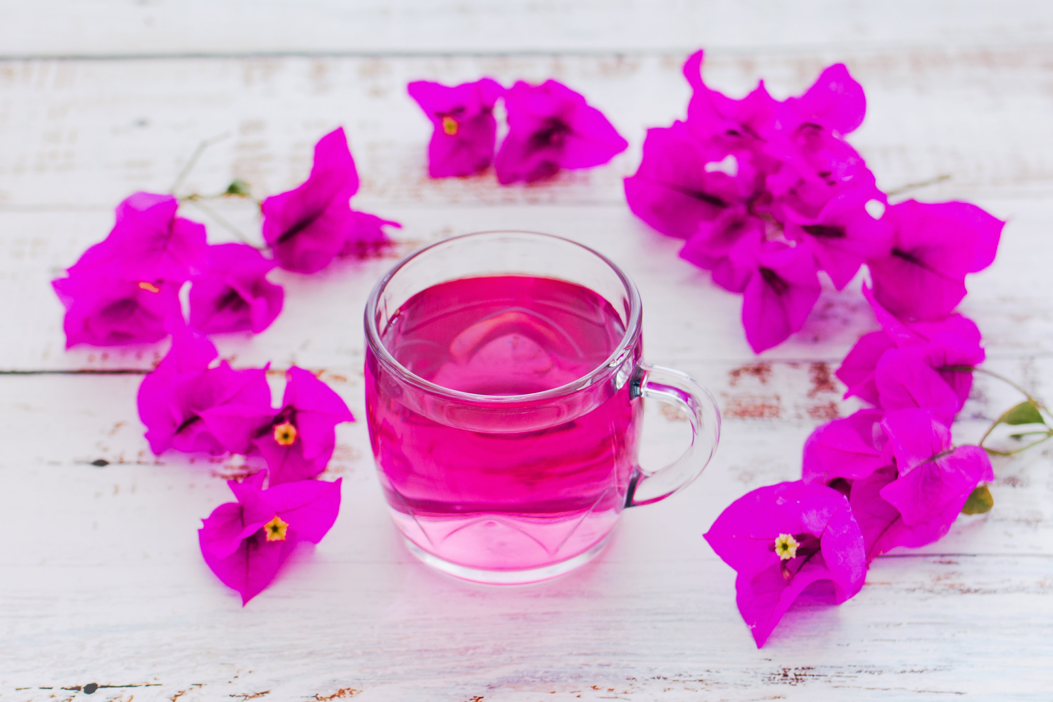Té de bugambilia para las enfermedades respiratorias / Gettyimagenes