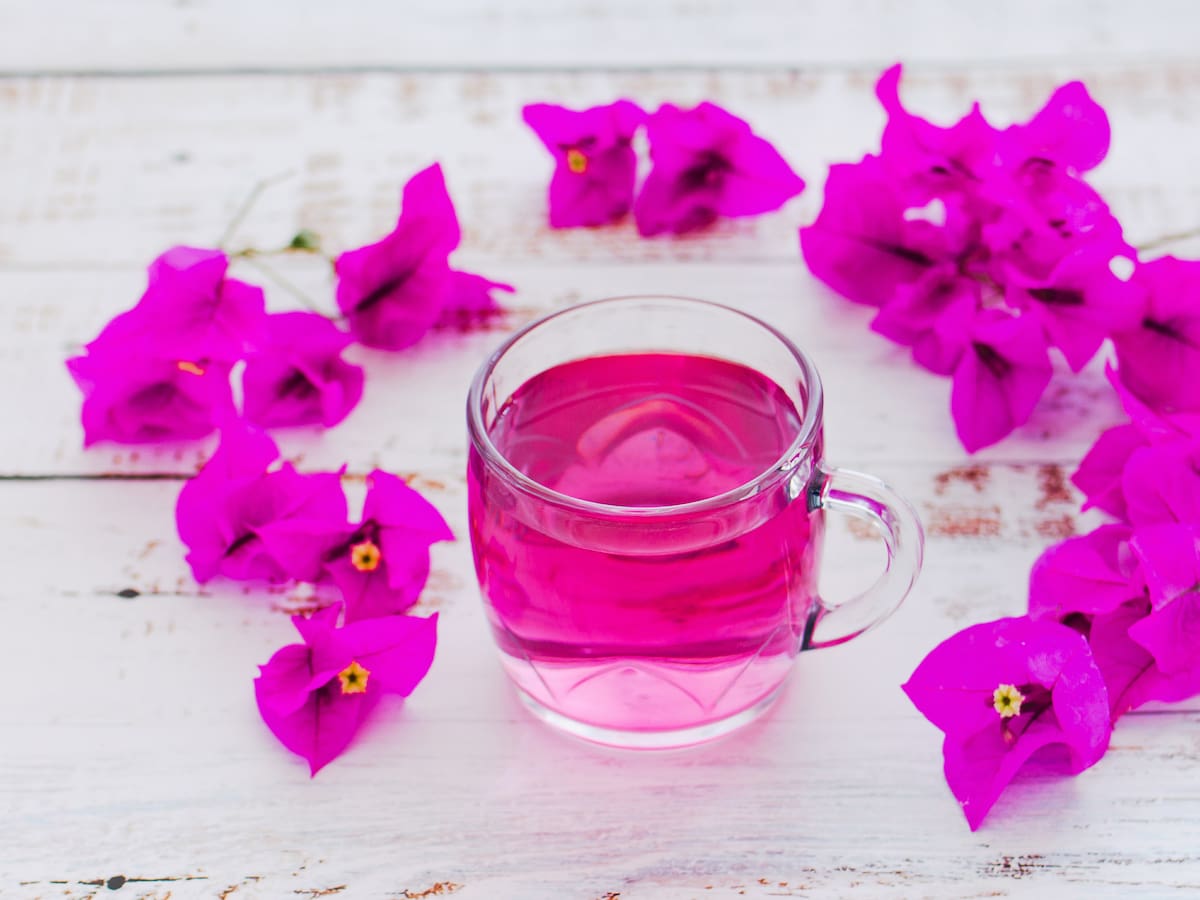 Pros y contras de tomar bugambilia: Efectos que podría tener en la salud, según médicos