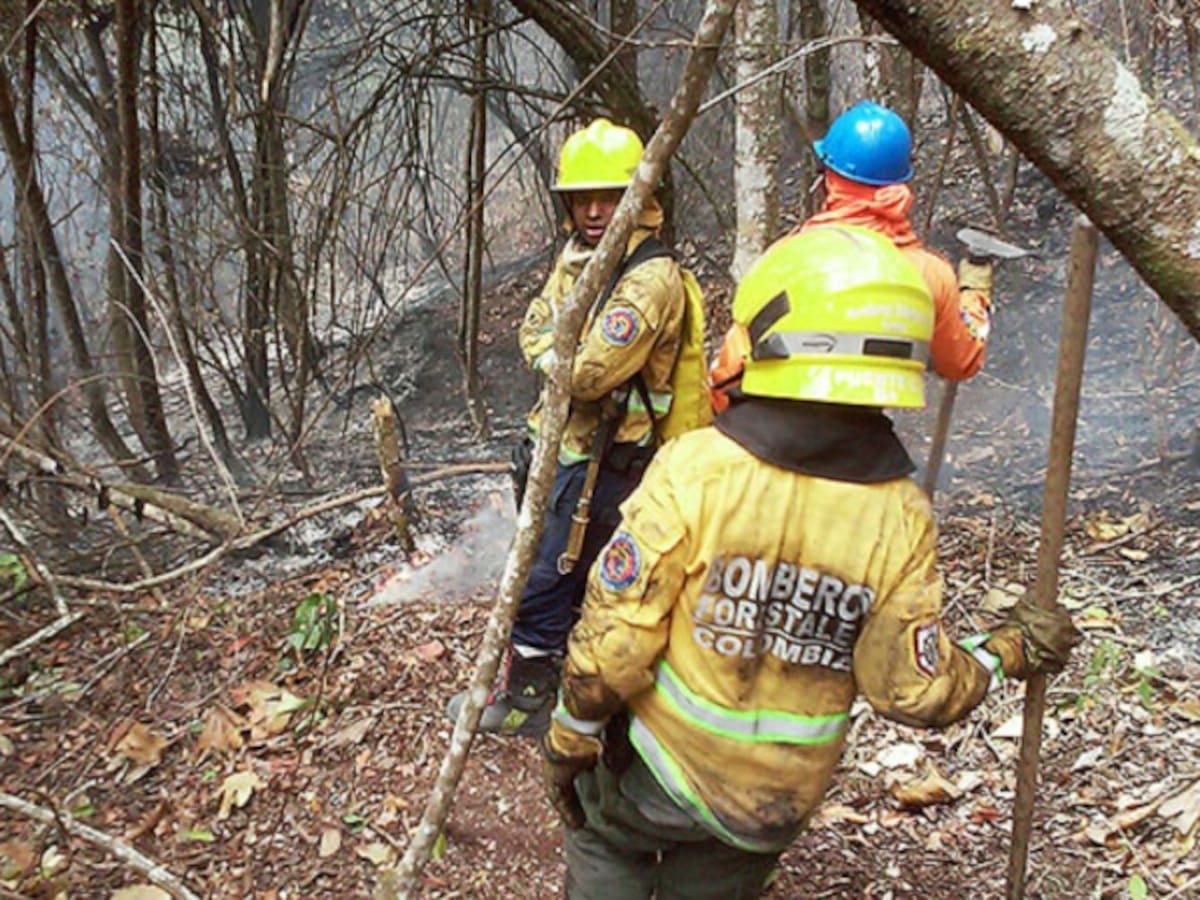 Bomberos atendieron quema forestal en Bogotá