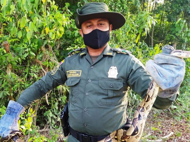 Liberan animales en Cartagena en el día de la diversidad biológica