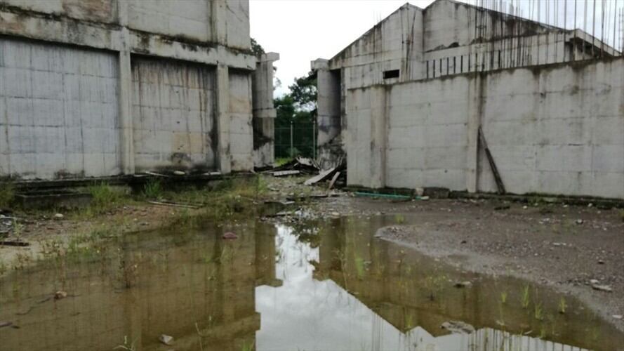 Elefantes blancos. Foto: