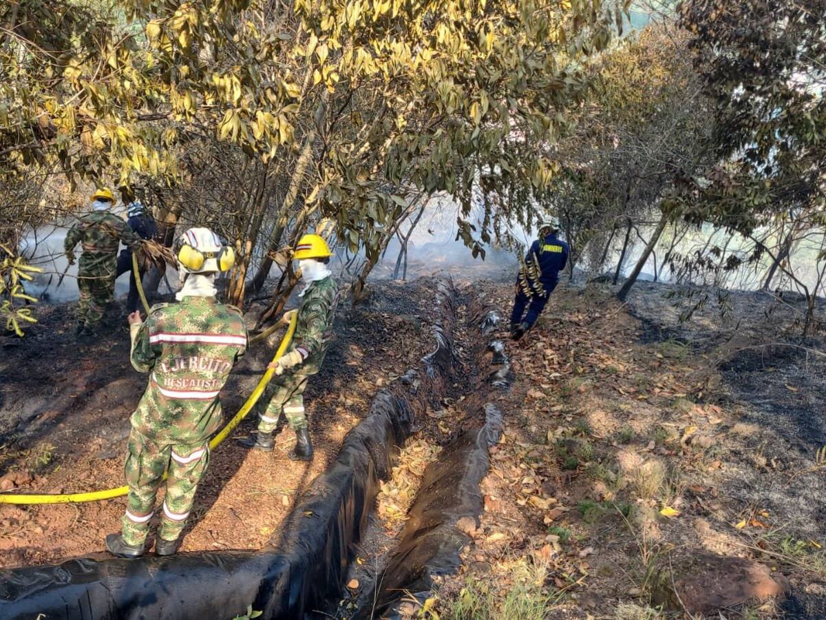 Piden rescatar animales afectados por incendio en Ruitoque