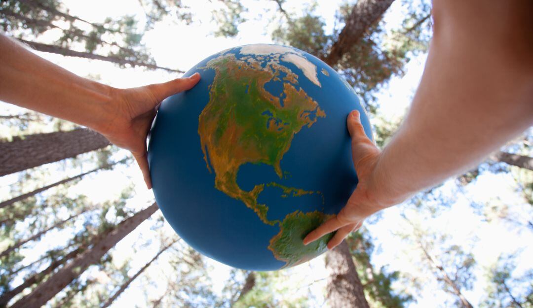 Imagen de referencia