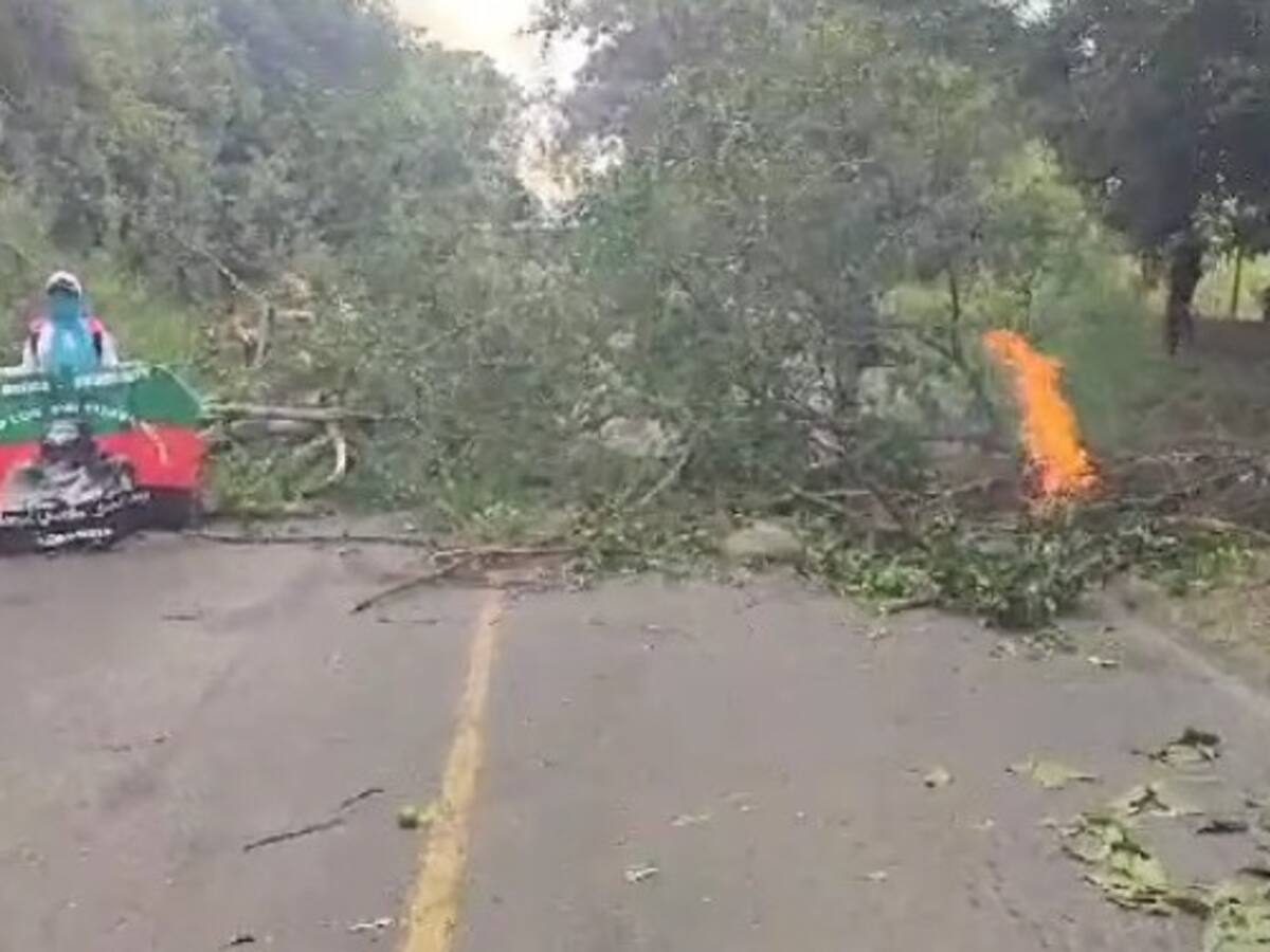Invasores quemaron una reserva forestal en el norte del Cauca