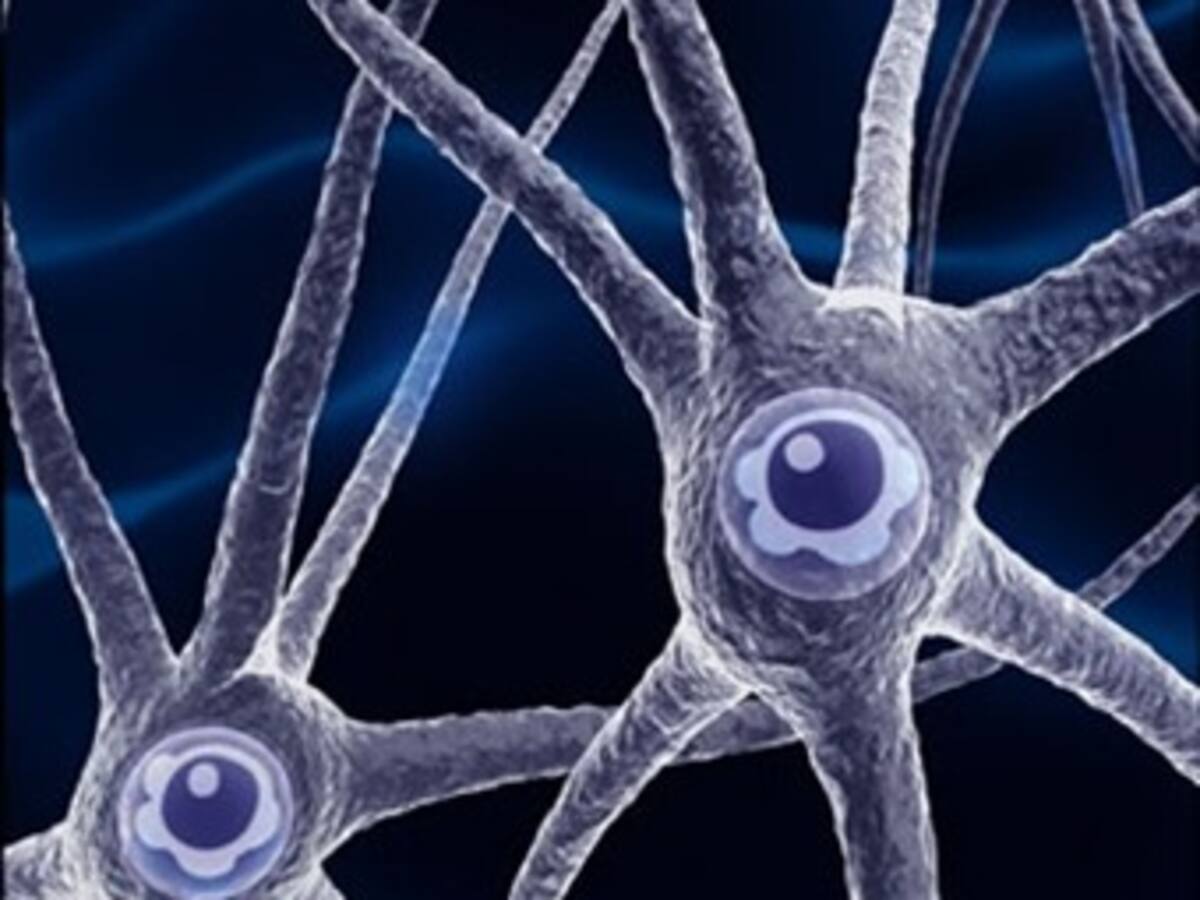 La OMS conmemora el Día Mundial del Parkinson