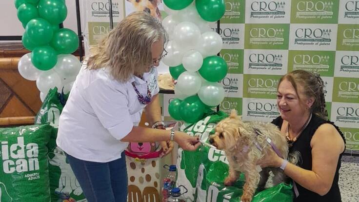 Informe Tapatón CRQ, Quindío