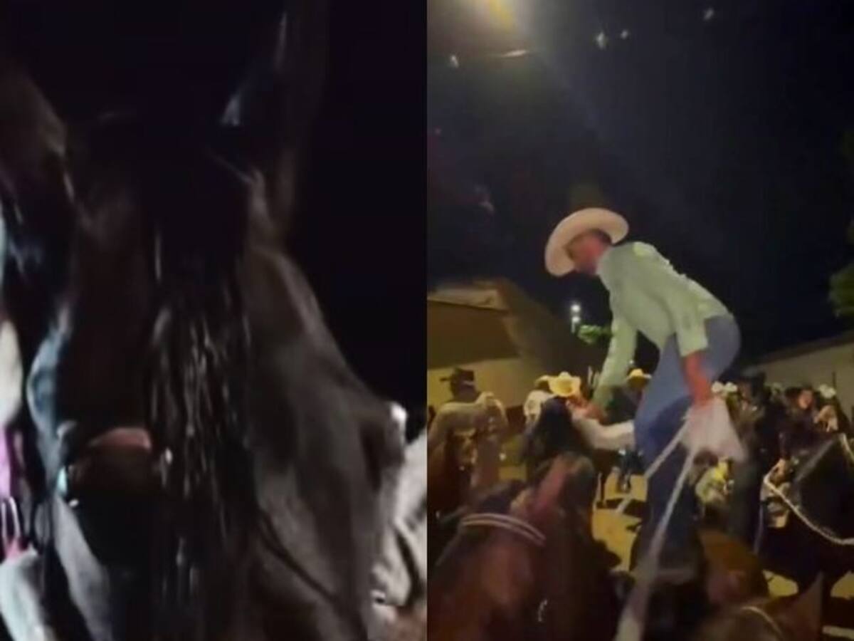 Denuncian maltrato animal en ferias en Santander. Otro caballo casi muere en medio de una cabalgata