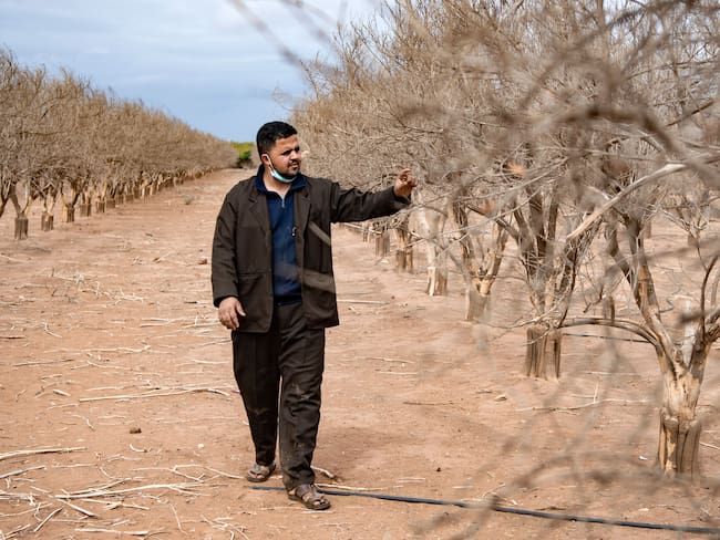 Sequía en Marruecos.
(Foto: FADEL SENNA/AFP via Getty Images)