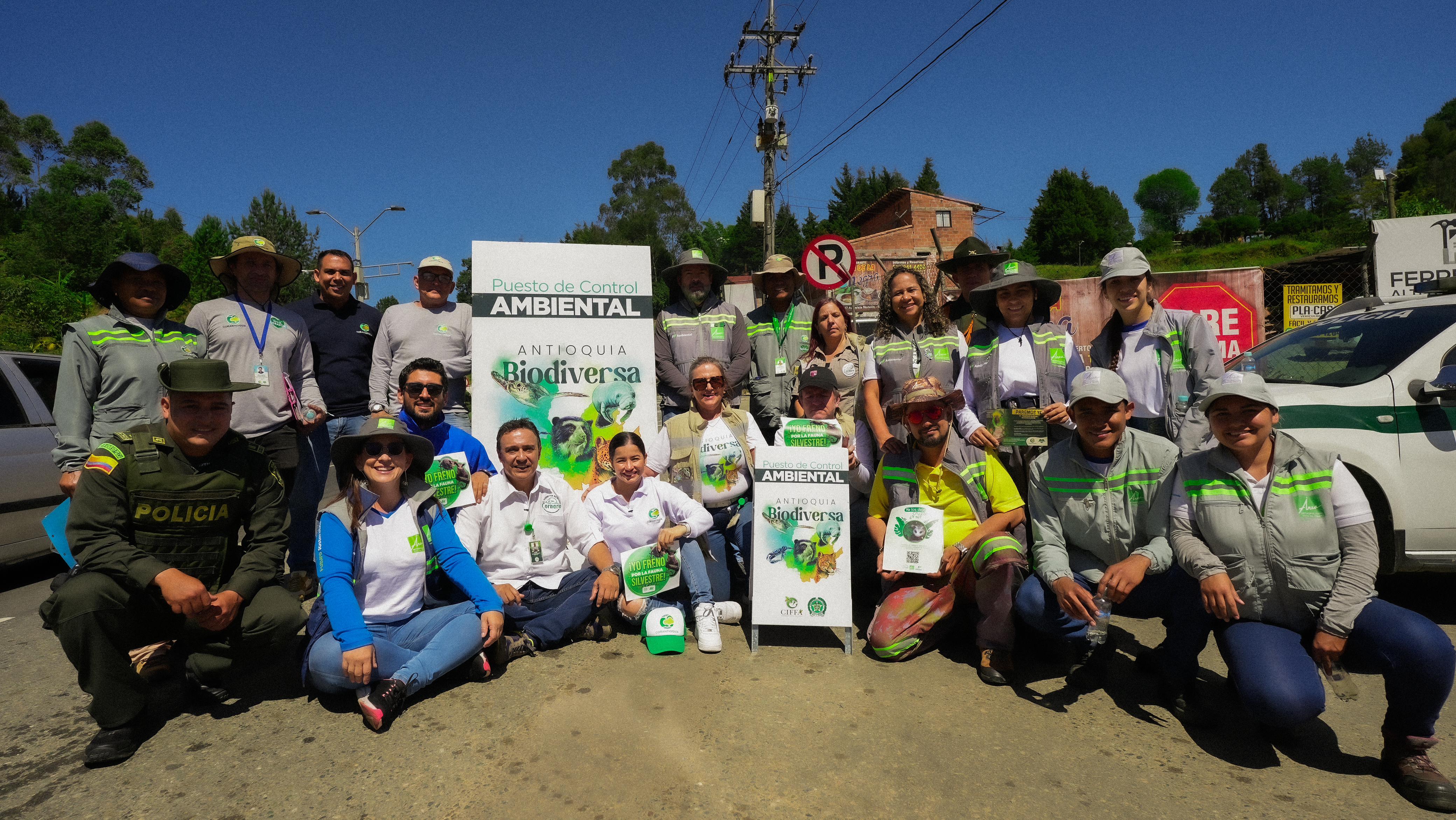 Operativos de control al tráfico Flora y Fauna Silvestre en Antioquia. Foto: cortesía Corantioquia.