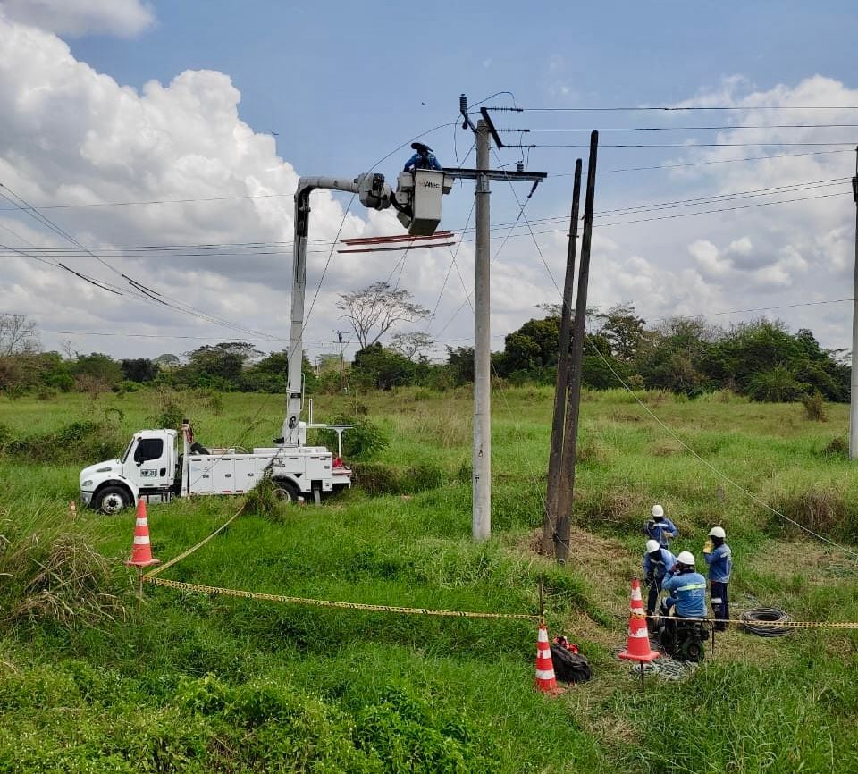 Labores de Afinia en algunos municipios de Córdoba.