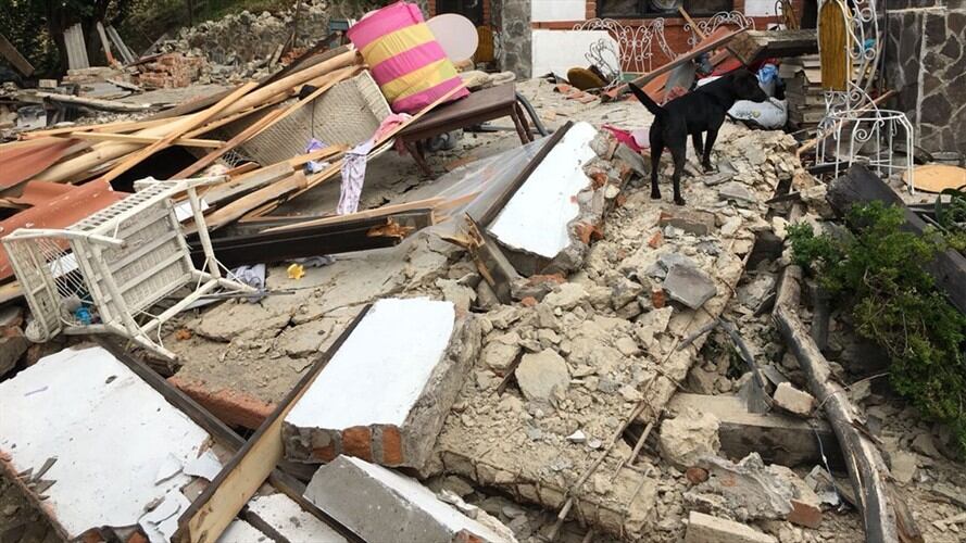 Declaran calamidad pública por actividad sísmica en el volcán Galeras.