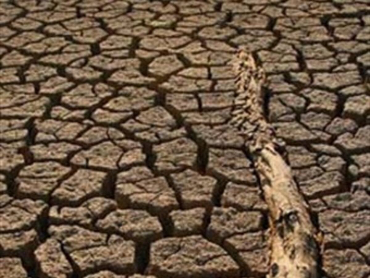 Brasil país con mayor probabilidad en aumento de sequias que el resto de Latinoamérica
