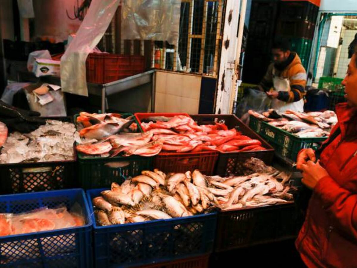 Por los bajos niveles de los ríos en Boyacá suben los precios del pescado